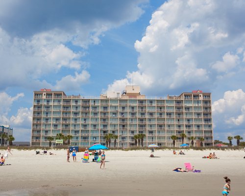 Exterior view of Maritime Beach Club alongside the beach with sunshades and palm trees.