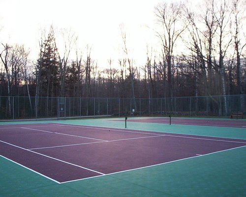 View of two outdoor tennis courts surrounded by trees.