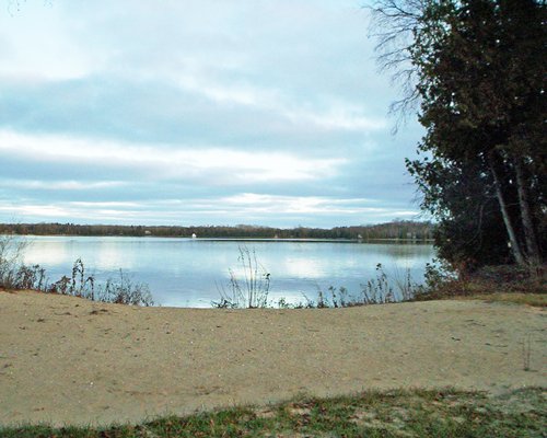 View of the beach surrounded by trees.