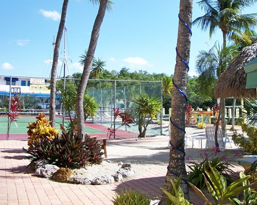 View of coconut trees alongside a tennis court.