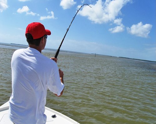 Anchorage Resort and Yacht Club