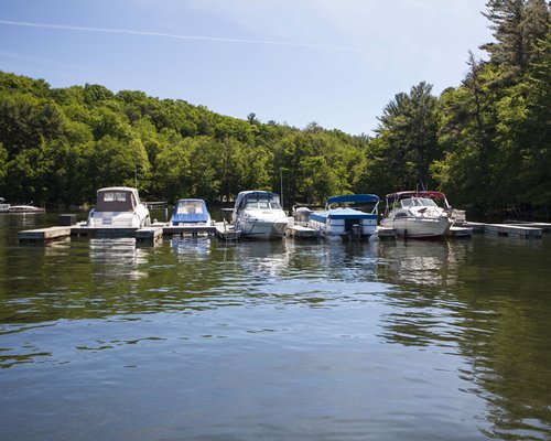 View of yachts on a lake surrounded by wooded area.
