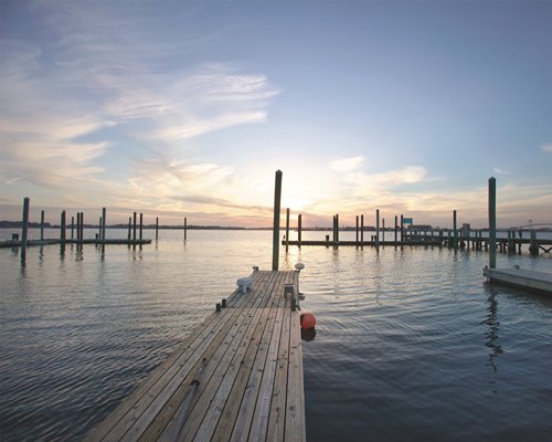 View of wooden piers on a waterfront.