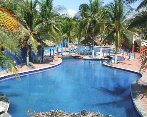 An outdoor swimming pool alongside coconut trees.