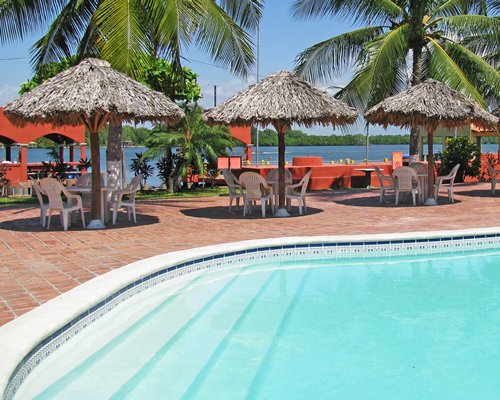 An outdoor swimming pool with thatched sunshades and patio furniture.