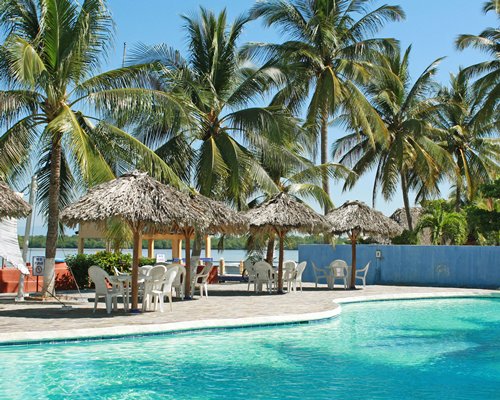 Outdoor swimming pool with thatched sunshades patio chairs and palm trees.