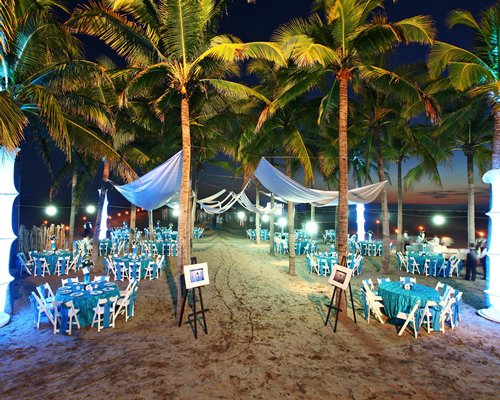 Outdoor restaurant with palm trees.