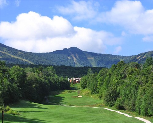A view of the golf course surrounded by wooded area.