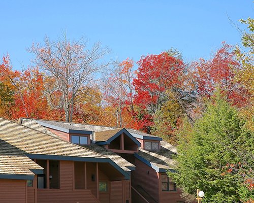 Exterior view of condos at Trail Creek Condominiums surrounded by wooded area at fall.