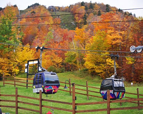 View of cable cars alongside a wooded area.