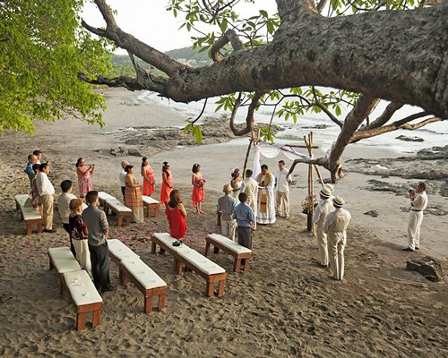 A view of the beach wedding.