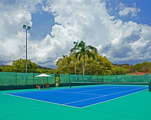 View of outdoor tennis court alongside the trees.