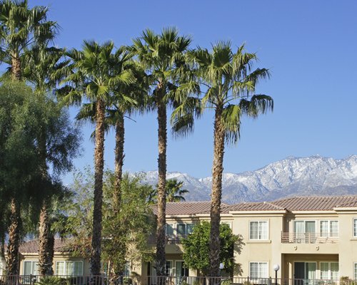 Raintree's Cimarron Golf Resort Palm Springs