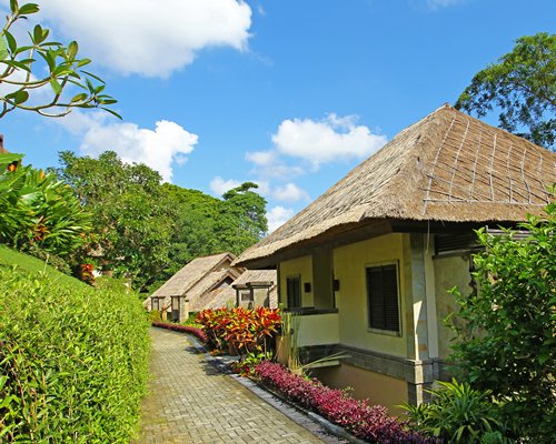 Exterior view of units with a pathway.