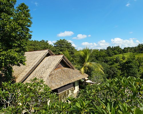 An exterior view of resort unit surrounded by trees.