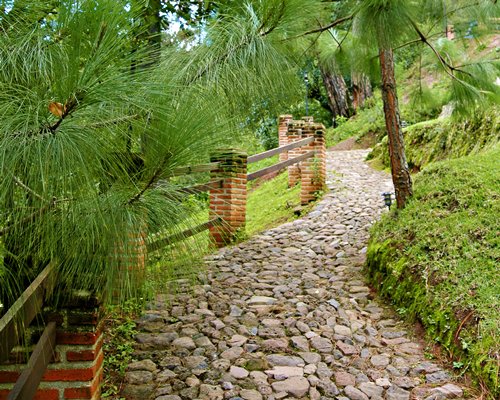 A pathway with wooden fence.