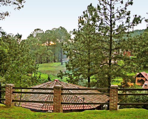 View of units at Bosque La Luna surrounded by wooded area.