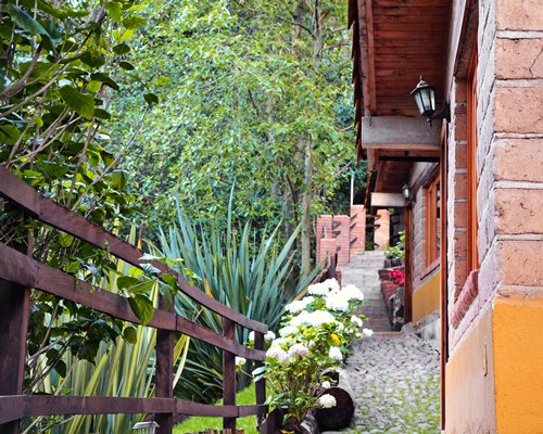 Scenic view of a stairway to units at Bosque La Luna surrounded by wooded area.