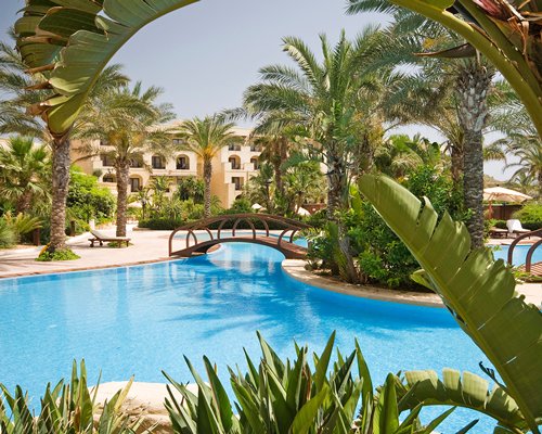 An outdoor swimming pool surrounded by palm trees.