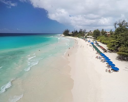 An aerial view of the beach with chaise lounge chairs and sunshades.