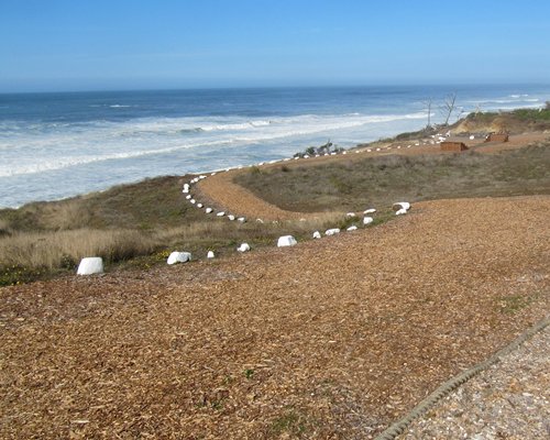 A pathway leading to the beach.