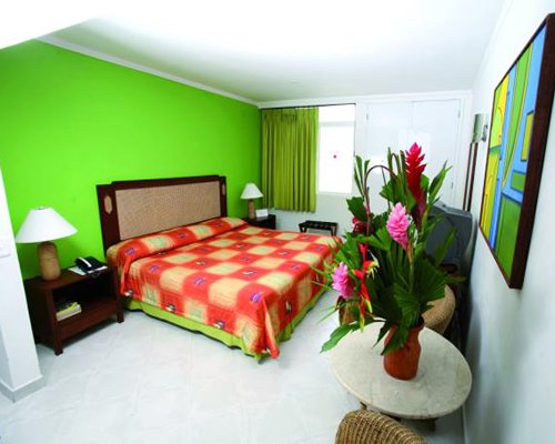 A well furnished bedroom with a double bed television and an outside view.