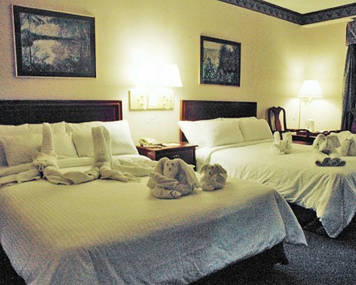 A well furnished bedroom with two beds.