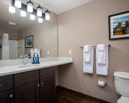 WorldMark McCall - 3 Nights