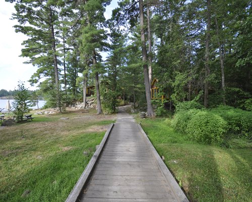 Pathway to Chaudiere Lodge alongside the lake surrounded by wooded area.