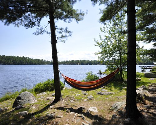 A view of the hammock alongside the lake.