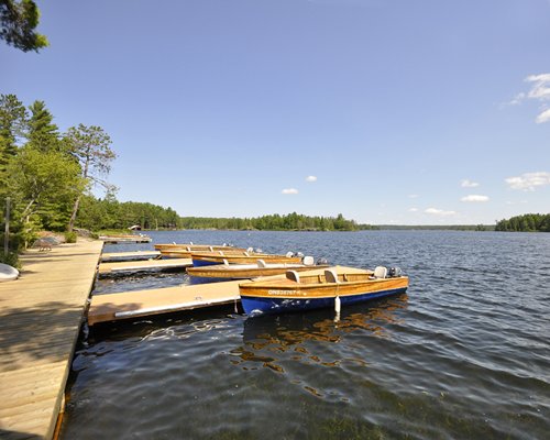 View of boats at the lake alongside a landscaped pathway surrounded by wooded area.