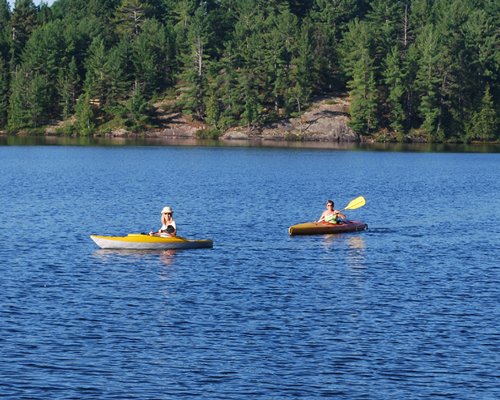 View of people kayaking at the lake surrounded by wooded area.