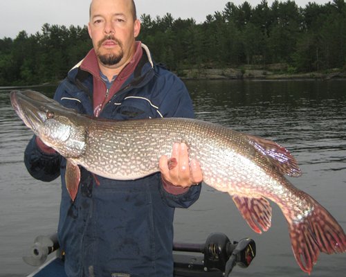 A man holding the big sized fish in the lake.