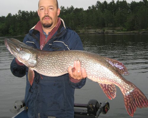 Chaudiere Lodge