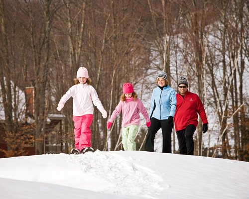 A view of family walking in the snow.