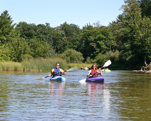 People kayaking in the river surrounded by wooded area.