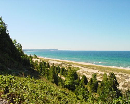 A view of the beach from a wooded area.