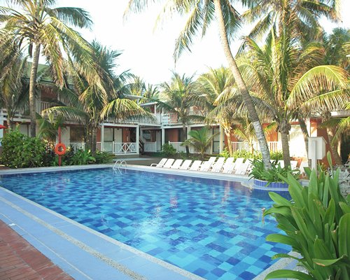 Outdoor swimming pool with chaise lounge chairs surrounded by palm trees.
