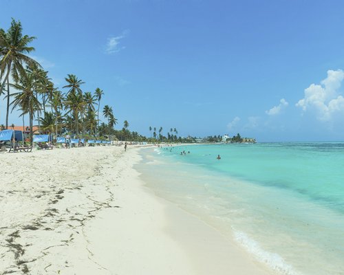 A view of the beach alongside the sea.