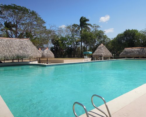 Outdoor swimming pool with thatched sunshades surrounded by wooded area.