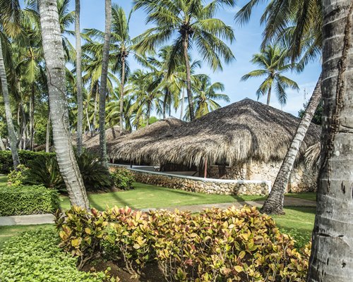 Viva Vacation Club At Viva Wyndham Dominicus Palace