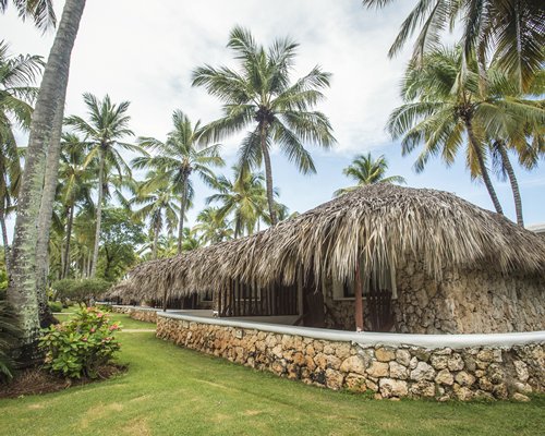An exterior view of the resort with thatched sunshades alongside coconut trees.