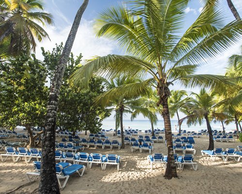 Viva Vacation Club At Viva Wyndham Dominicus Palace