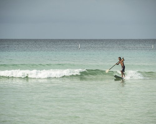A man surfing on the ocean.