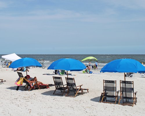 View of the beach with chaise lounge chairs and sunshades.