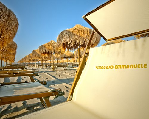 View of chaise lounge chairs and thatched sunshades on the beach.