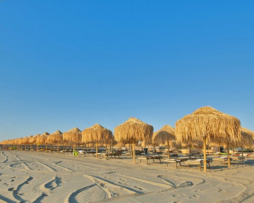 A view of patio furniture with thatched sunshades.