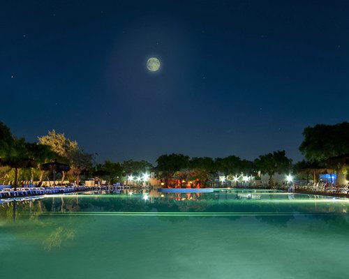 Large outdoor swimming pool with chaise lounge chairs alongside the wooded area.