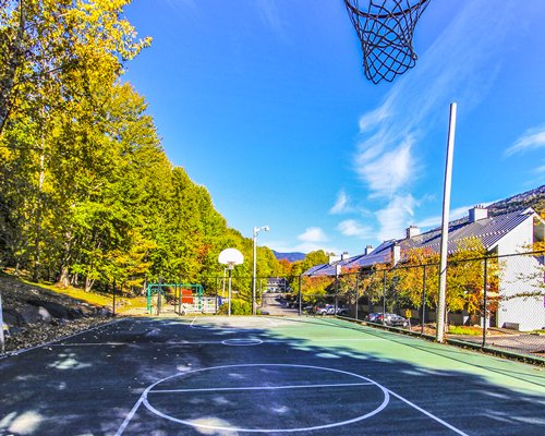 An outdoor basketball court alongside the trees and the resort.