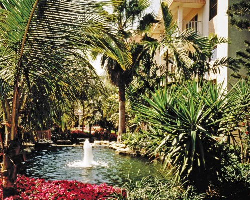 Wyndham Ocean Palms